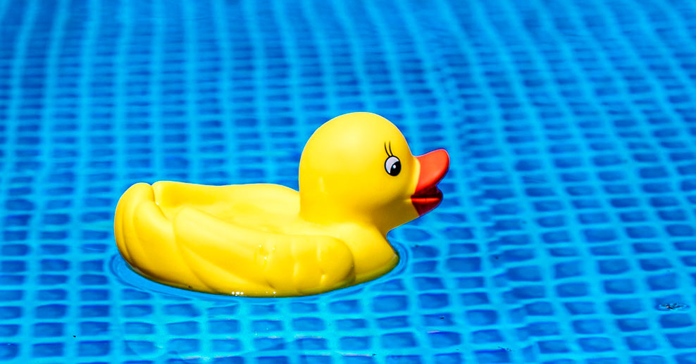 Pato de juguete en una piscina