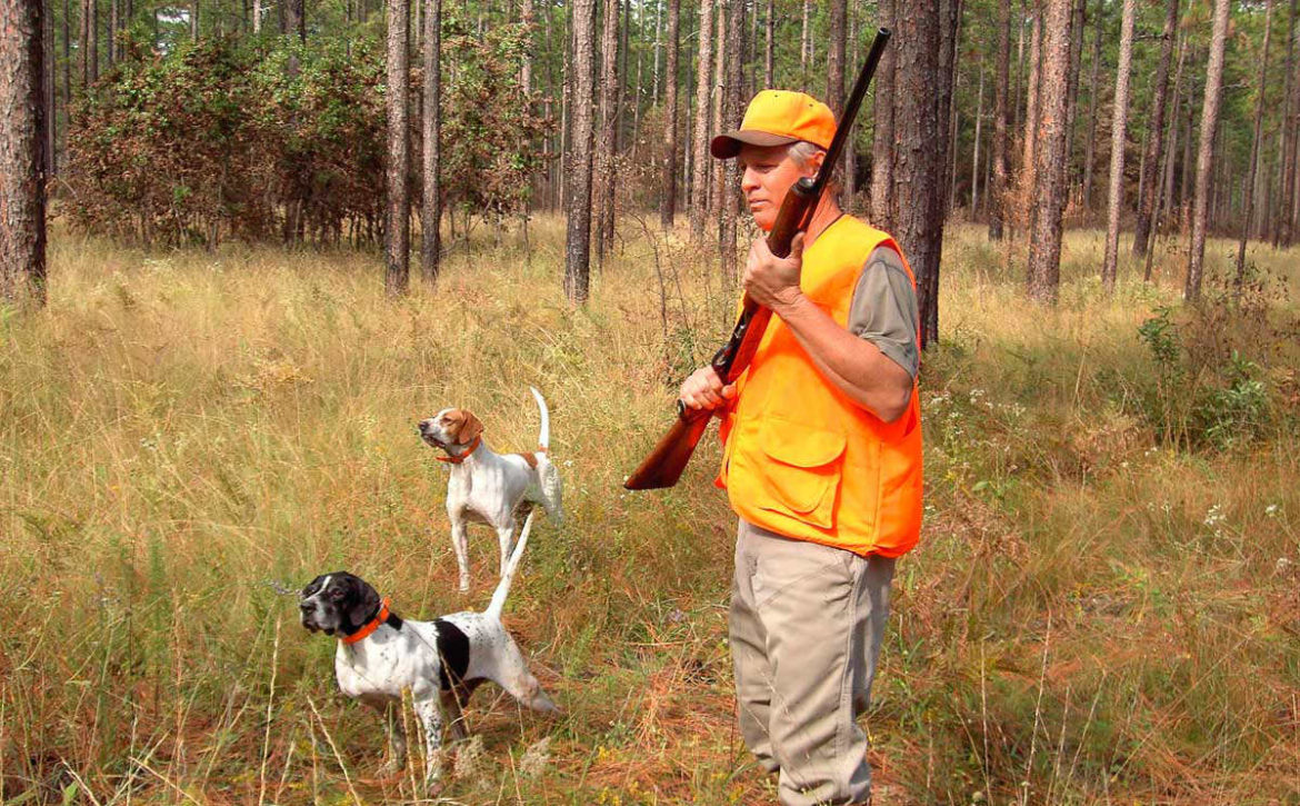 Un cazador con dos perros