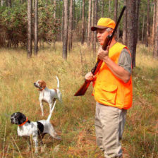 Un cazador con dos perros