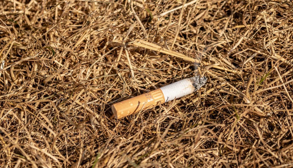 Colilla de cigarrillo sobre hierba seca