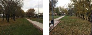 dos imágenes de un parque de Moralzarzal