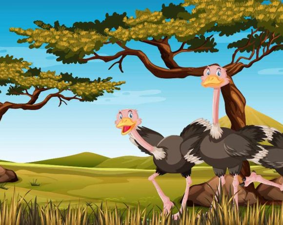 Ilustración de tres avestruces en la sabana