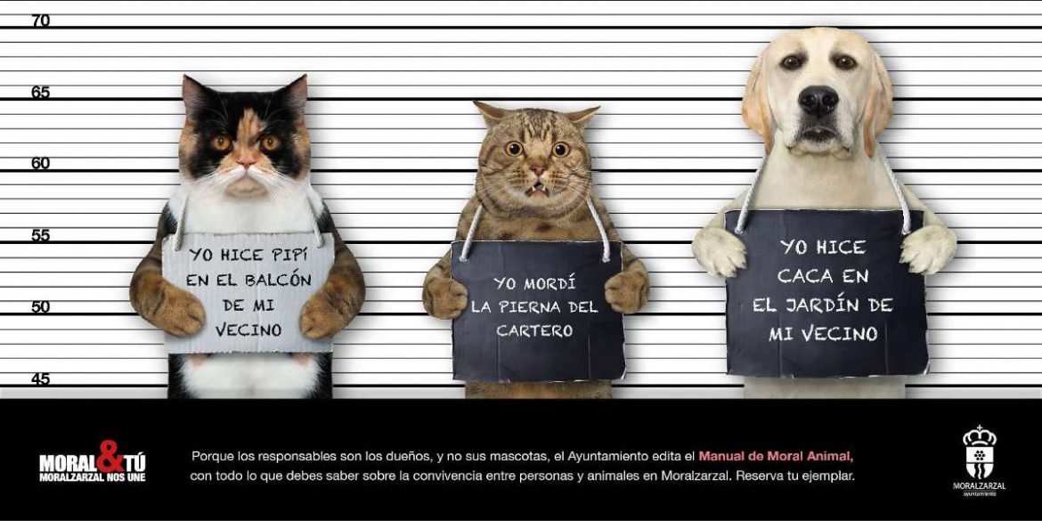 UNos animales aparecen fichados con carteles de identificación policial