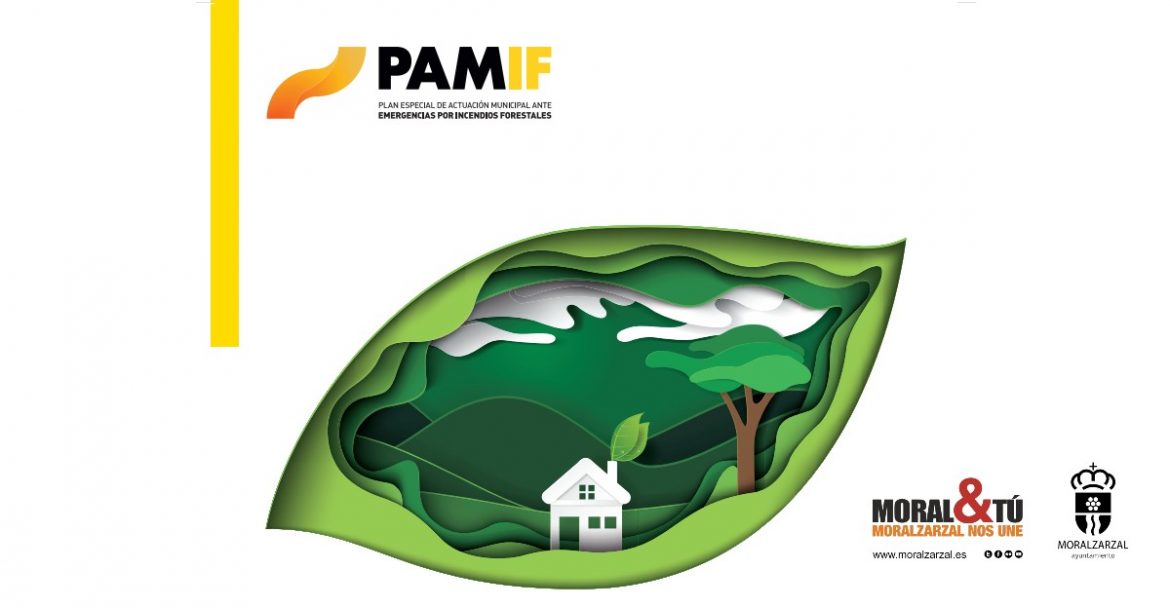 Logo de PAMIF