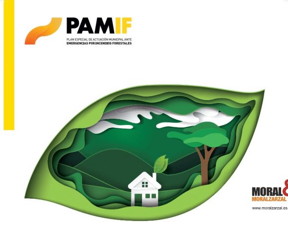 Logo de PAMIF