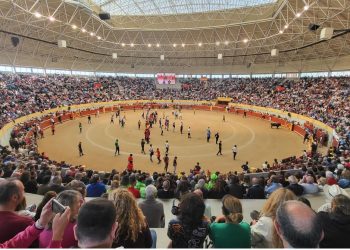 Los-encierros-de-Moralzarzal-2024-arrasan-en-asistencia-de-publico-y-en-ambiente