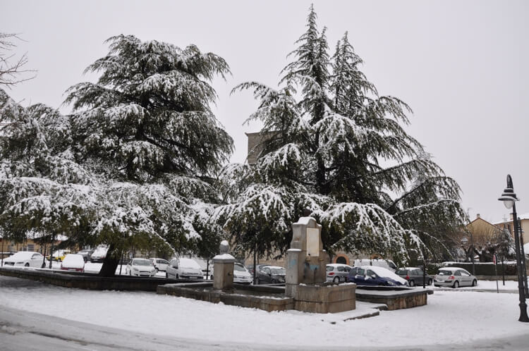 El Ayuntamiento de Moralzarzal reparte sacos de sal gratis en previsión de heladas en invierno (1)