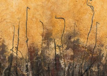 El poemario Casa de arena y paja, de Bárbara Sánchez Temiño, en la biblioteca de Moralzarzal