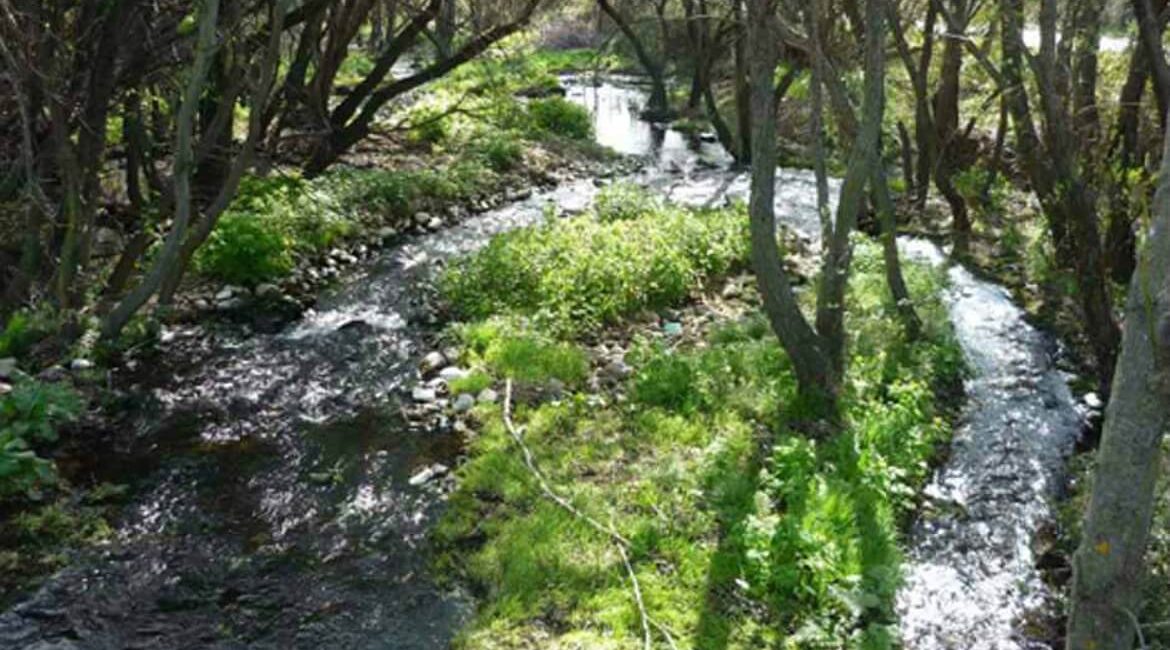 Senda para mayores en Moralzarzal el 14 de enero, Capellanía (1)