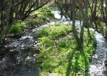 Senda para mayores en Moralzarzal el 14 de enero, Capellanía (1)