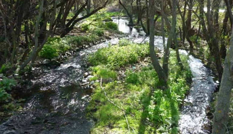 Senda para mayores en Moralzarzal el 14 de enero, Capellanía (1)