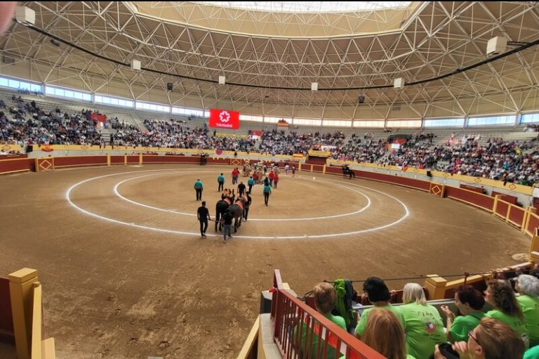 51. 23 de septiembre de 2023. Novillada