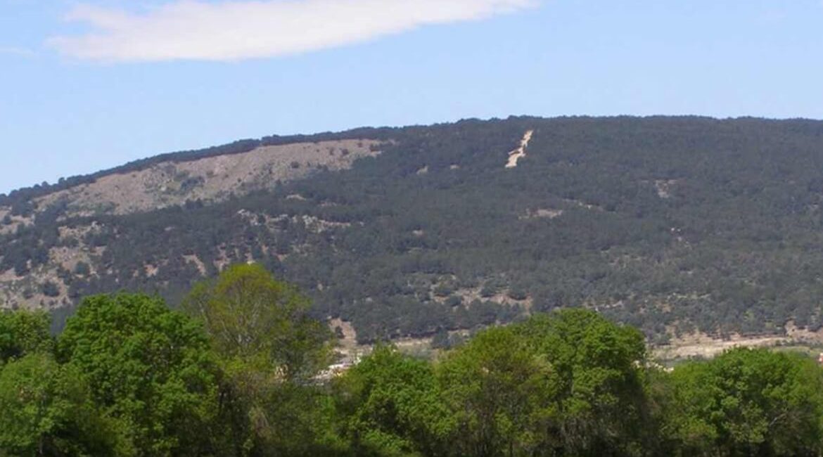 temporada de caza en Moralzarzal