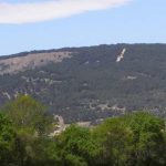 temporada de caza en Moralzarzal