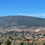 Salida ornitológica en familia_