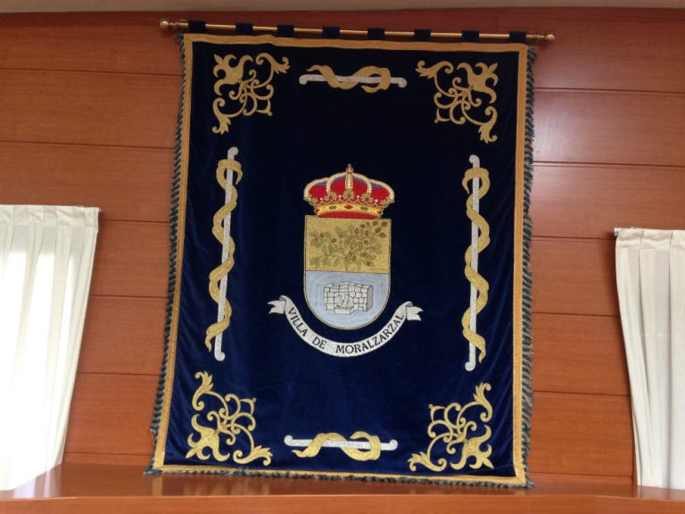 salon-plenos-Moralzarzal (4)