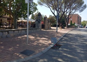 Campaña de desratización en Moralzarzal para garantizar un entorno seguro y saludable. El Hogar