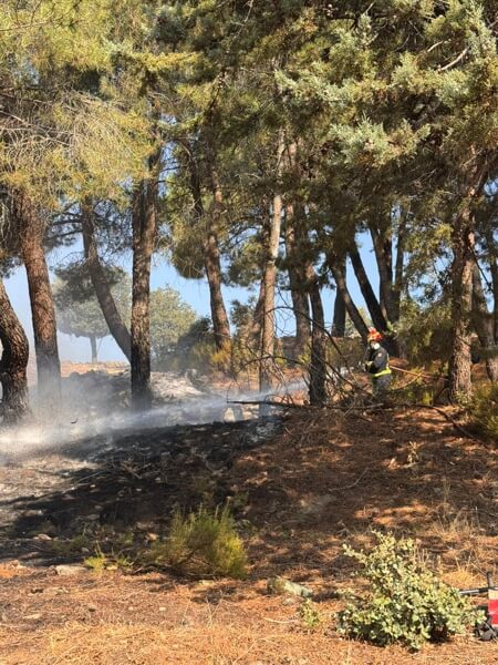 Controlado un conato de incendio en la Ladera Matarrubia en el término de Moralzarzal