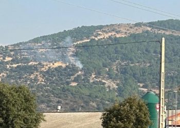 Controlado un conato de incendio en la Ladera Matarrubia en el término de Moralzarzal