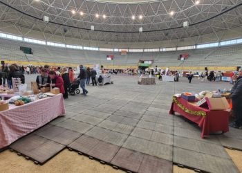 Feria de Emprendedoras de Moralzarzal