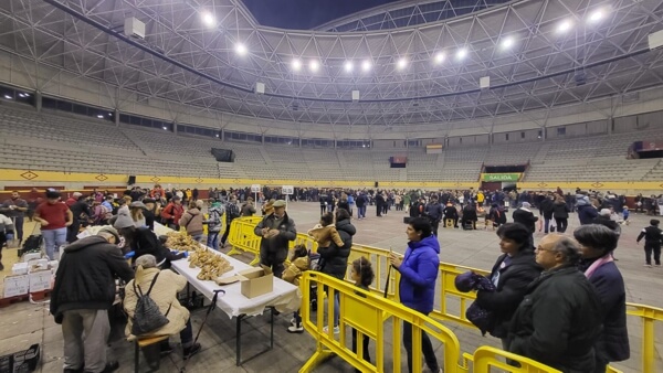 Bienvenida a la Navidad en Moralzarzal con una Castañada Popular en la Plaza de Toros, gente