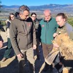 Dos ejemplares de Águila Imperial vuelan de nuevo en Moralzarzal