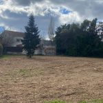 La gestión de la poda en Moralzarzal se convierte en acolchado para nuestras zonas verdes