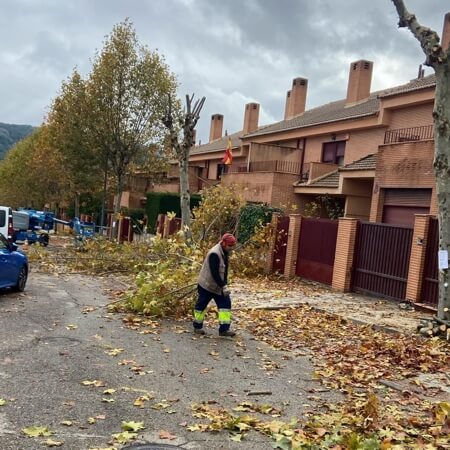 La gestión de la poda en Moralzarzal se convierte en acolchado para nuestras zonas verdes 2025