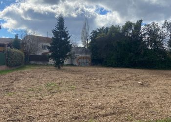 La gestión de la poda en Moralzarzal se convierte en acolchado para nuestras zonas verdes