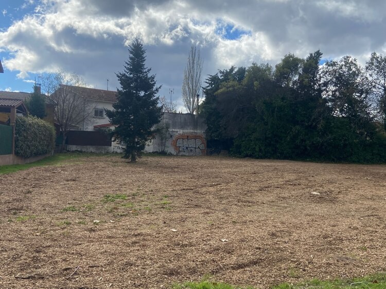 La gestión de la poda en Moralzarzal se convierte en acolchado para nuestras zonas verdes