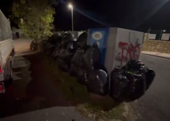 Tirar poda en contenedores multiplica el coste por 7 y conlleva infracción. Moralzarzal