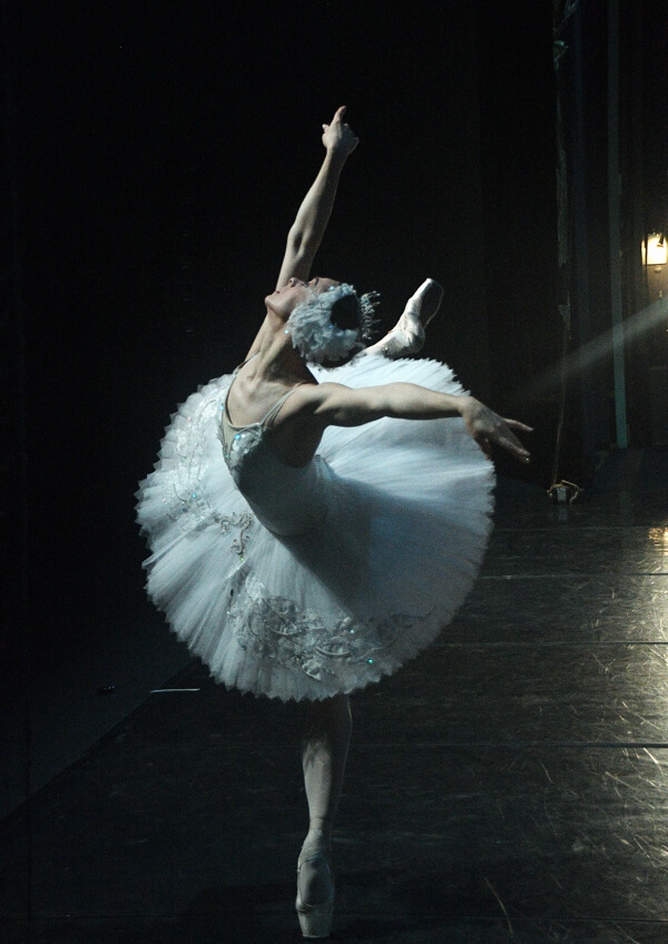 el lago de los cisnes Moralzarzal 2025