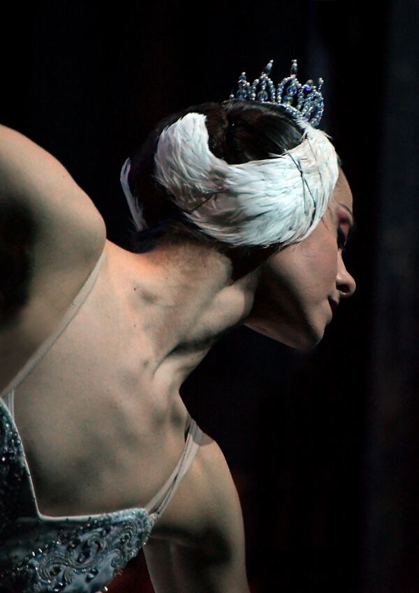 el lago de los cisnes Moralzarzal Navidad 2025