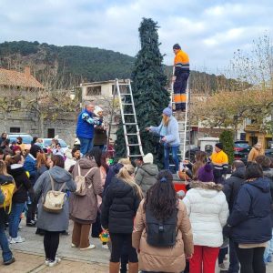 Decoran el Árbol de Navidad de la Plaza en Moralzarzal