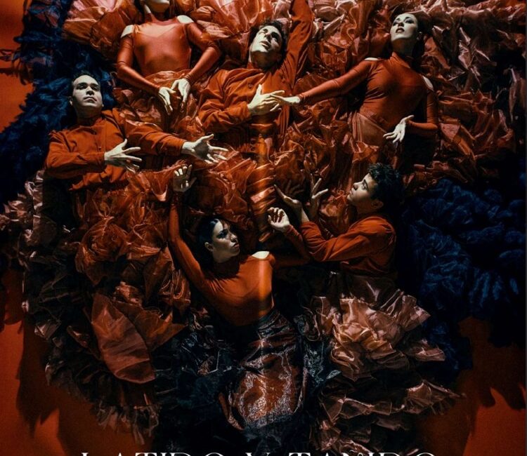 Moralzarzal vibra con el arte de Alejandro Lara, llega Latido y Tañido al Teatro Municipal