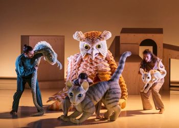 La gata que quería cambiar la historia, Danza y marionetas en el Teatro Municipal de Moralzarzal