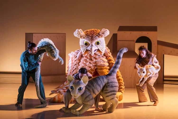 La gata que quería cambiar la historia, Danza y marionetas en el Teatro Municipal de Moralzarzal