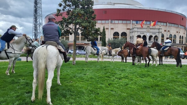 Moralzarzal celebra la tradicional Fiesta de la Cruz de Mayo 2026, Raíces de piedra y un día en familia. Caballos