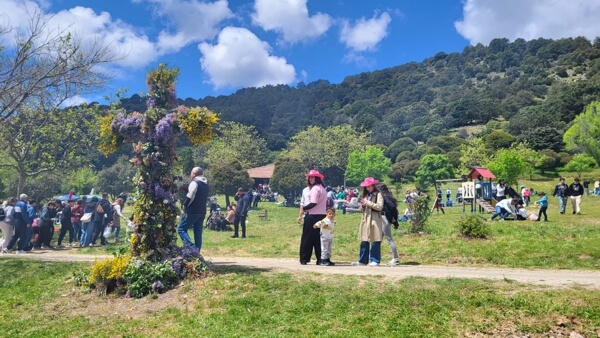 Moralzarzal celebra la tradicional Fiesta de la Cruz de Mayo 2026, Raíces de piedra y un día en familia. Cruz