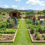 Huertos urbanos Moralzarzal 2026