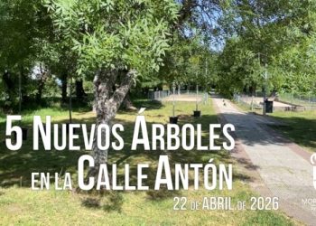 Moralzarzal planta 15 nuevos árboles en la zona de petanca de la calle Antón
