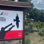 Moralzarzal se vuelca con la biodiversidad, gran suelta de aves en la Dehesa con el CRAS de Madrid
