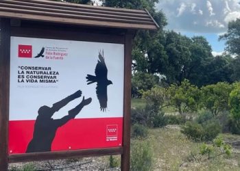 Moralzarzal se vuelca con la biodiversidad, gran suelta de aves en la Dehesa con el CRAS de Madrid