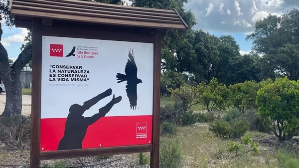 Moralzarzal se vuelca con la biodiversidad, gran suelta de aves en la Dehesa con el CRAS de Madrid