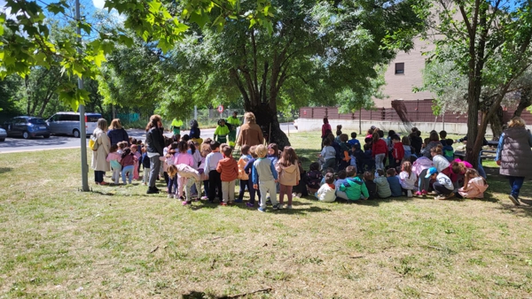 Los alumnos del Colegio San Miguel Arcángel plantan 17 árboles en Moralzarzal hoy w