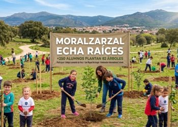 Moralzarzal echa raíces, más de 250 alumnos plantan 82 nuevos árboles en una iniciativa educativa y medioambiental sin precedentes