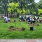 ok Alumnos del colegio Fontenebro participan en la plantación de 50 árboles en Moralzarzal