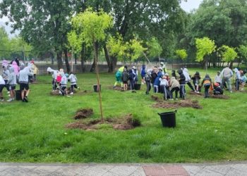 ok Alumnos del colegio Fontenebro participan en la plantación de 50 árboles en Moralzarzal