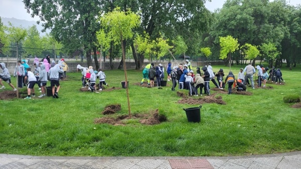 ok Alumnos del colegio Fontenebro participan en la plantación de 50 árboles en Moralzarzal
