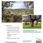 El IMIDRA ofrece asesoramiento forestal y formación gratuita para optimizar las explotaciones locales. Moralzarzal